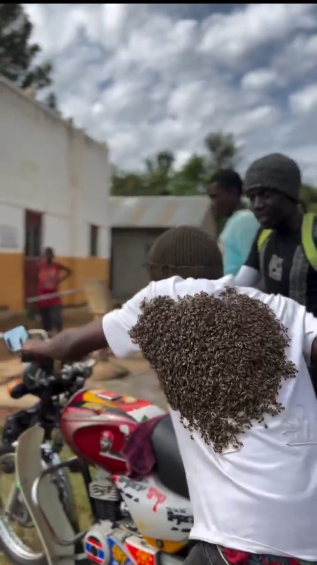 Images of the bees when returning the motorcycle
