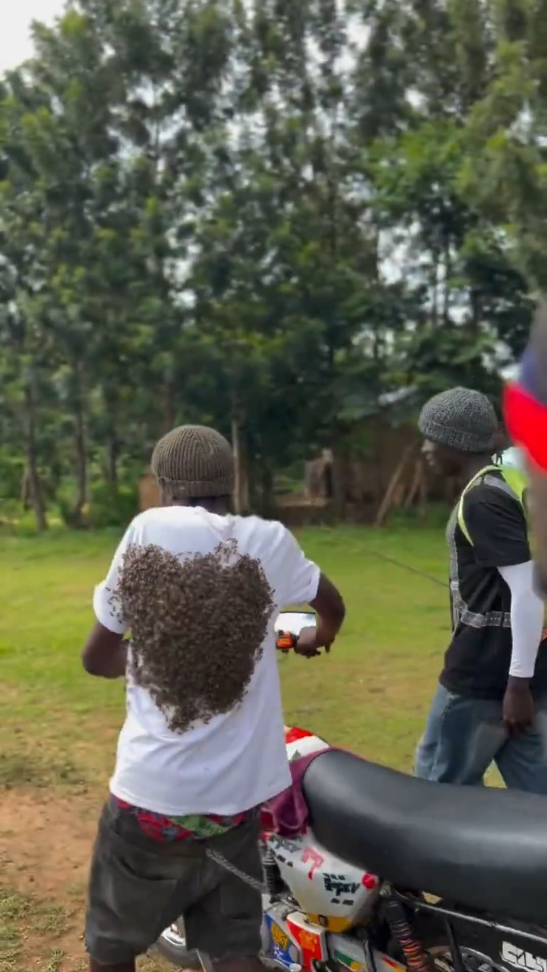 Images of the bees when returning the motorcycle
