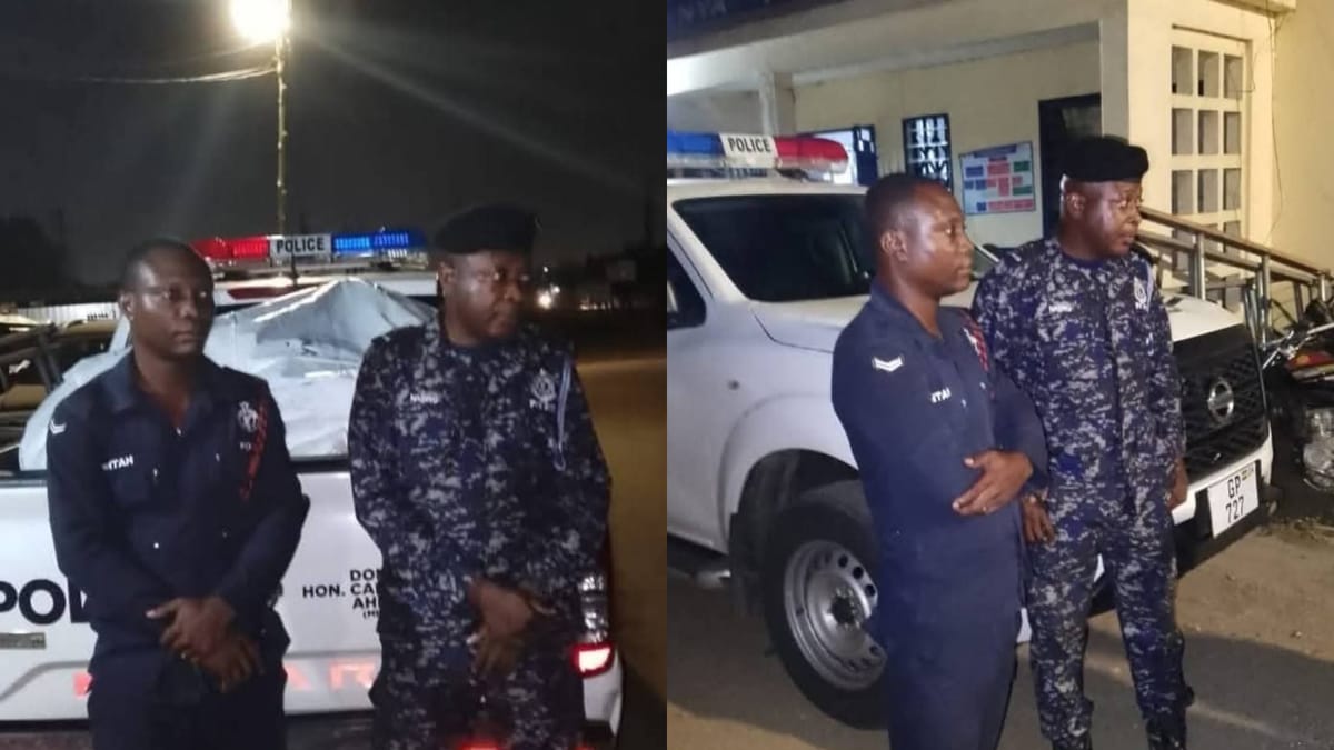 Tema Circuit Court Sentences Two Police Officers to 13 Years for Narcotics Trafficking