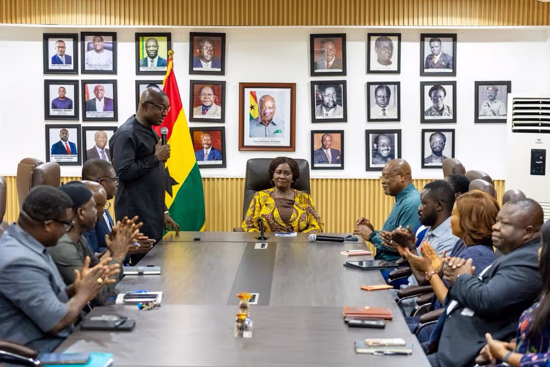 Vice President Praises Energy Ministry for Stabilising Power Sector