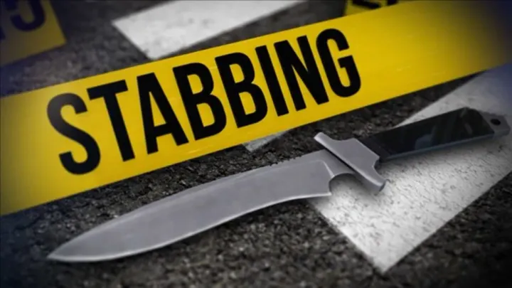 Seamstress Stabbed to Death by Boyfriend in Ga South Municipality