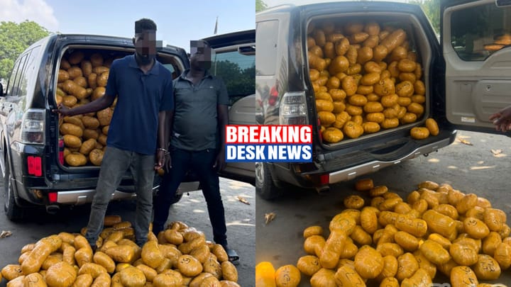 Tema Police Intercept Over 1,600 Parcels of Suspected Drugs