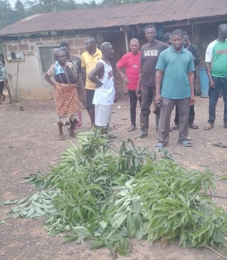 62-year-old woman butchered at Twifo Denyase