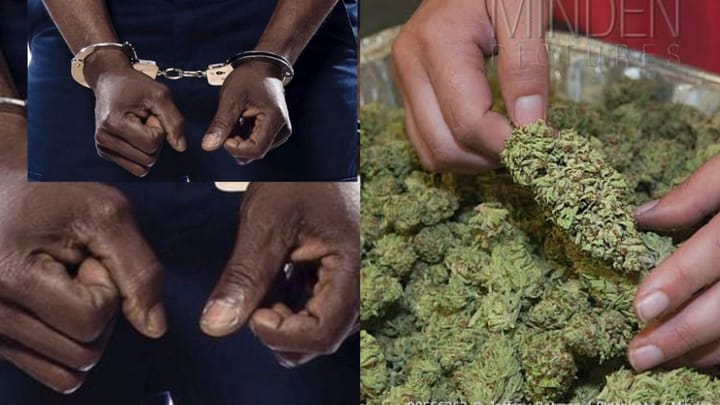 Ghana Prisons Officer Arrested Over Alleged Attempt to Smuggle 'Wee' into Prison